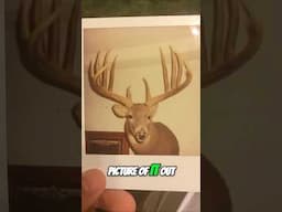 His dad SOLD his 200” NET typical mount! #deer #deerhunting #archery #kansas #whitetail