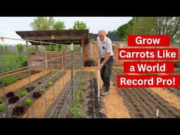 Carrot Planting Secrets You Need to Know: Tips from a World Record Grower!