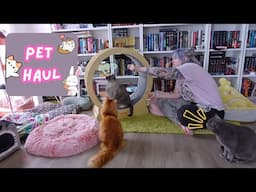 my cats are fat so I bought them a wheel.