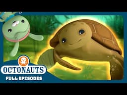 @Octonauts - 🌊 The Loggerhead Sea Turtle 🐢 | Season 3 | Full Episodes | Cartoons for Kids