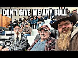 Don't Give Me Any Bull