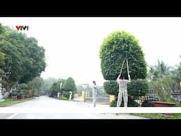 Ngày đặc xá – cơ hội làm lại cuộc đời  | VTV24