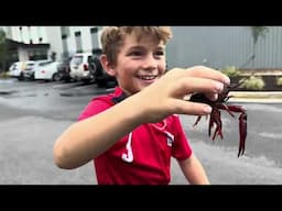 Crawdad Dinner in Georgia! From Delicious Outing TO RESCUE MISSION!