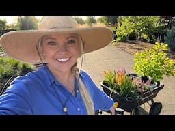 Planting Smokebush and Cutting Back Salvia! 🪴 Dig, Plant, Water, Repeat