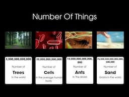 Number Comparison: Interesting Facts