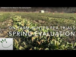CCB Network On-Farm Winter Pea Trials: Spring Evaluation