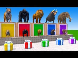 Long Slide Game With Elephant Gorilla Buffalo Hippopotamus Tiger - 3d Animal Game - Funny 3d Animals