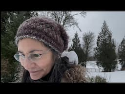 A Winter Walkabout: What I Discovered On The Homestead (Zone 8)