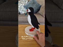 Puffin Love! #puffiness