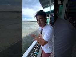 ปลาตีนของดีบางแสน มากี่รอบคนญี่ปุ่นต้องมาทักทายทุกรอบ