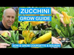 ZUCCHINI GROW GUIDE: How to Sow & Grow zucchini (courgette), marrows & squash organically