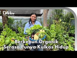 Berkebun di Pekarangan Serasa Punya "Kulkas Hidup" - Kebun Ragicha