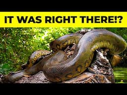 25 Strange New Species Scientists Recently Discovered