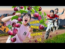 Hà Sam Du Lịch Tìm Quả Mận Siêu To Gặp Nhiều Điều Hấp Dẫn Trên Đường Đi
