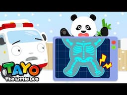 The Panda Rolls and Rolls | Save the Animals | Tayo Animal Rescue Team | Tayo the Little Bus