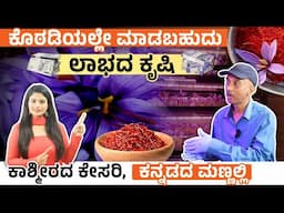 ಕೇಸರಿ ಬೆಳೆಯೋದು ಹೇಗೆ? ಯಾಕೆ ಕೇಸರಿ ತುಂಬಾ ದುಬಾರಿ? Step-by-Step Saffron Cultivation and Harvest Process