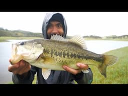 BASS Catch and Cook! They keep getting BIGGER!!!