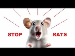 How to get rid of mice -- Very high pitched sound that keeps mice away - RODENT CONTROL