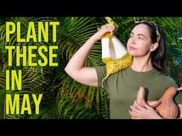 4 Heat Tolerant Survival Crops to Plant in May for Fall Harvest