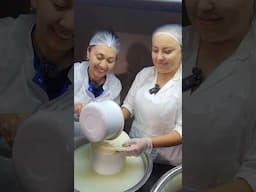 Делаем сыр из кобыльего молока!  #shorts #horses #сыр #кобылийсыр