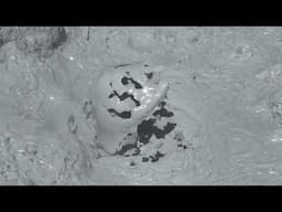 Bubbling Mud Pools in Bolivia's Siloli Desert