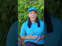 Hydrogen Peroxide: Save Your Plants!
