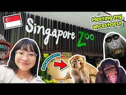 Going to The Zoo And Meeting my Ancestors! ‧₊˚❀༉‧₊˚. Singapore Zoo Vlog