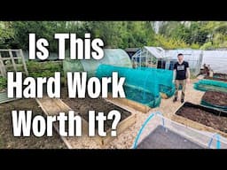 Big Plant Out And New Growth In Spring | Allotment Gardening UK