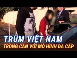 PHÁT HIỆN ÔNG TRÙM NGƯỜI VIỆT NAM SỬ DỤNG MÔ HÌNH TRỒNG C.Ầ.N ĐA CẤP TẠI ÚC.