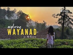 Kerala Travel Vlog: 2 Days in Wayanad – Edakkal Caves, Ziplining & Tea Gardens