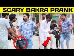 Scary Bakra Prank || Special Prank On Eid || by Sharik Shah and Iqbal Malik on @sharikshah
