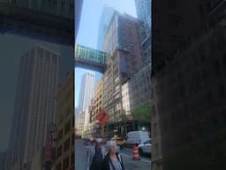 no todo LOS IMMIGRANTES O ILEGALES van a NUEVA YORK a cometer crimines