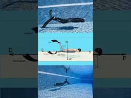 Freediving Most Common Problem with Kicking Technique #kaizenfreediving #freedive #freediver