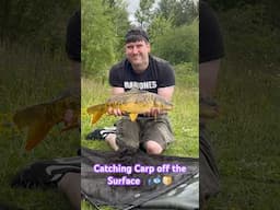 Epic Surface Carp Fishing Adventure!