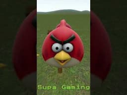 Angry Birds - Red VS Pigs Animation [SFM]  #angrybirds #angrybirdsshort #funny #animation #sfm