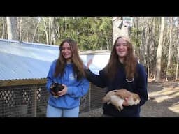Biosecurity on Your Farm