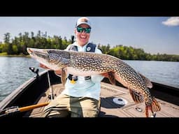 Sight-Fishing for Pike in Super Shallow Water
