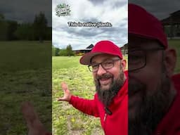 The Problem With Lawns