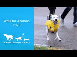 Help us make a difference for animals in need | Walk for Animals 2025