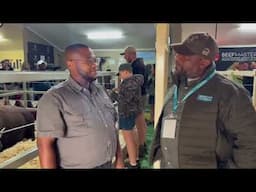 Watch| Bonsmara breed holds great potential for developing
