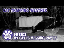 Cat Trapping Weather, Chased Away - Missing Cat Day 15 - Lucky Ferals S8 E103 Vlog