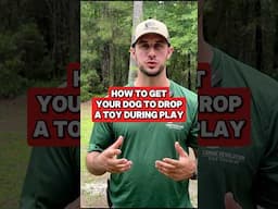How to Get Your Dog to Drop A Toy #dogs