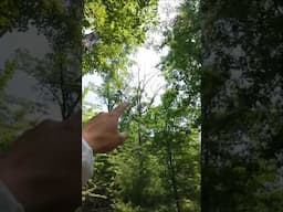 💥 Crashed my Drone 😳 #drone #dronevideo #wildlife #mountains #search #crazy #funny #crash #fail