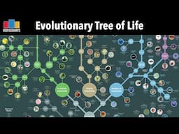 Evolutionary Tree of Life (Full Series)