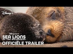 Disneynature’s Sea Lions of the Galápagos | Officiële Trailer | Disney+