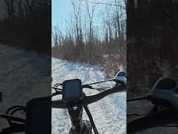 PuckiPuppy Golden R #ebike #puckipuppy #adventure