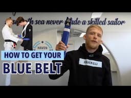 How to get your BJJ Blue Belt - Haven BJJ Rotterdam