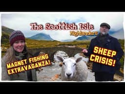 Rescuing Our Sheep’s Lame Foot, Magnet Fishing the River Beauly in the Scottish Highlands