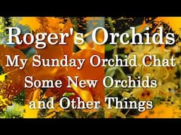 Some New Orchids and Other Things