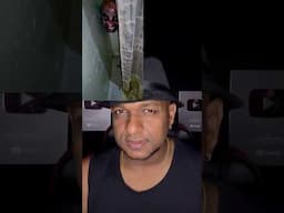 Scary Video in Dark web 😳#Reels #haunted #mystery #viral #trending